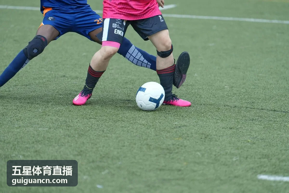 五星体育直播热门赛事直播入口