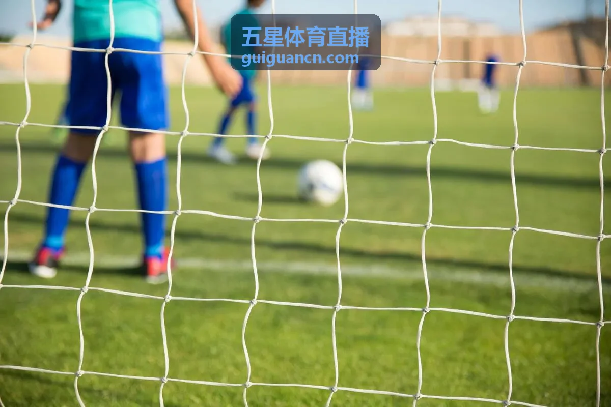 五星体育直播深度分析世界杯预选赛